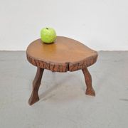 Mid-Century Brutalist Tree Trunk Side Table, 1960s