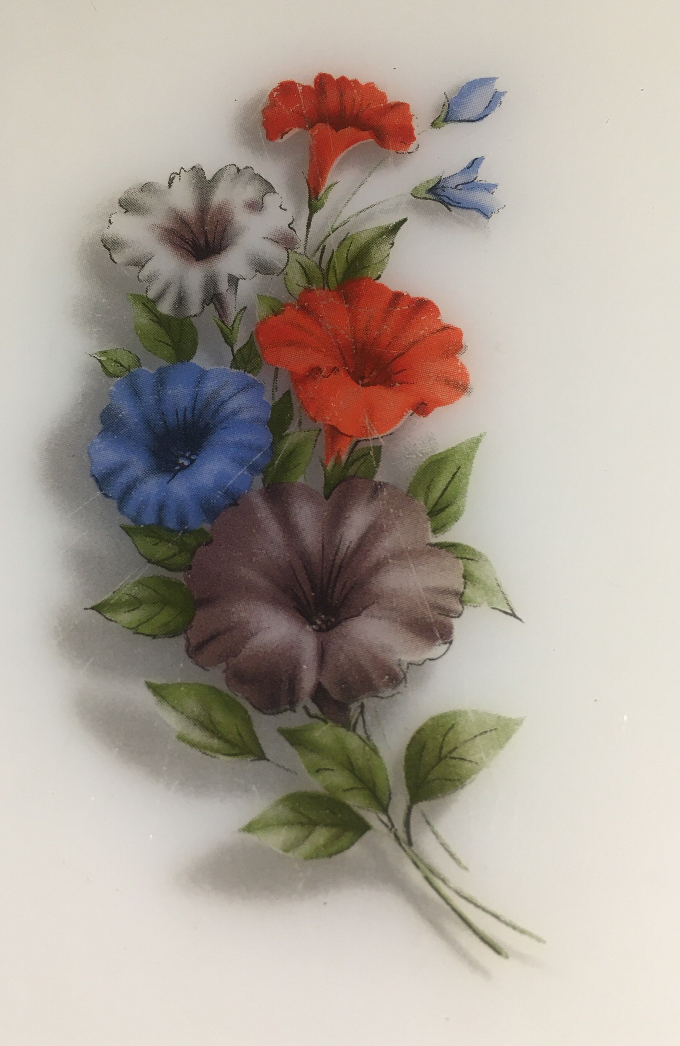 Oval dish Arcopal pattern Petunia 23x36cm