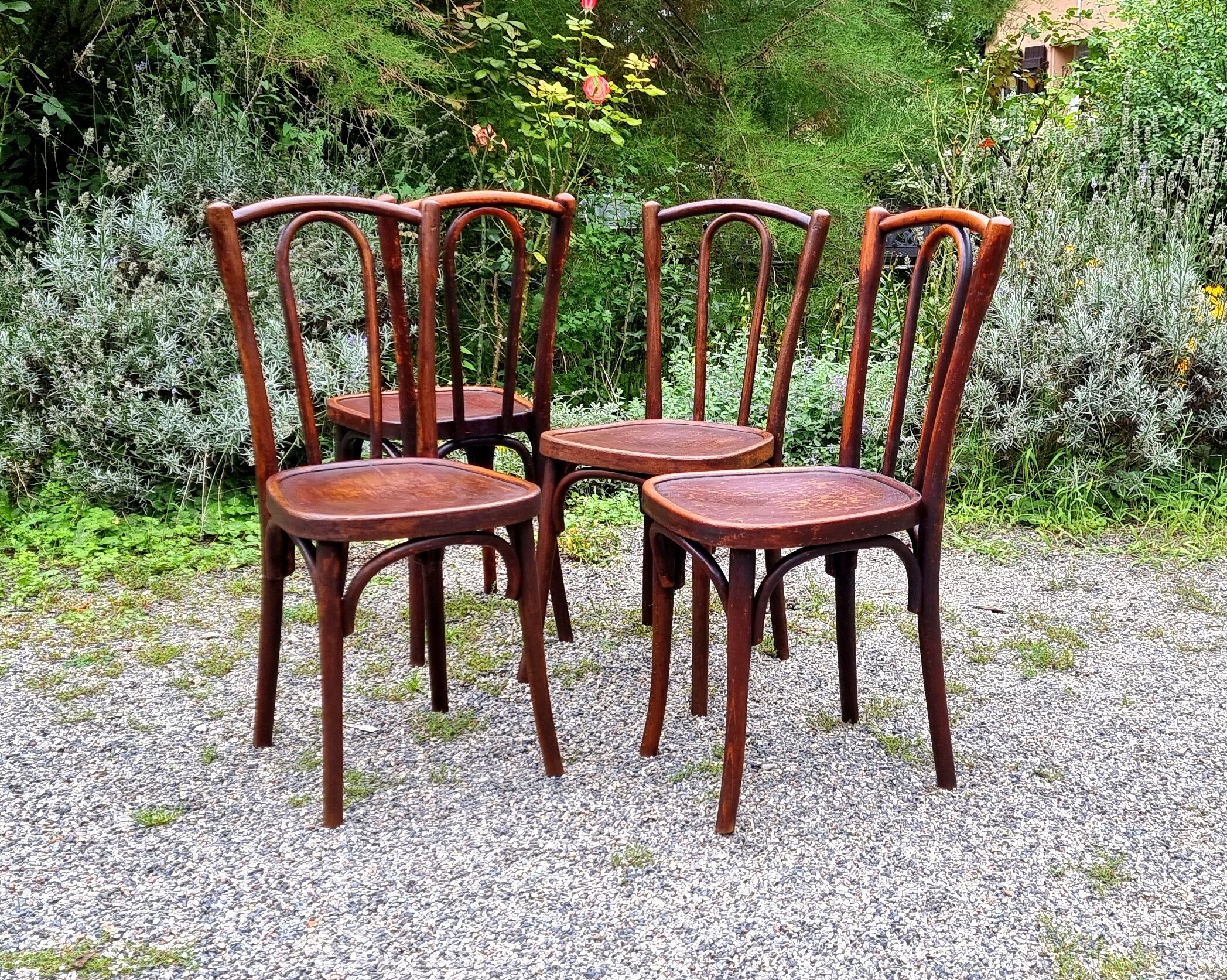 4 chairs bistrot type n°56 years 30