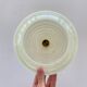 Pair of Art Deco Clichy glass pendant lights