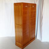 Double curtain cabinet cabinet with 50s