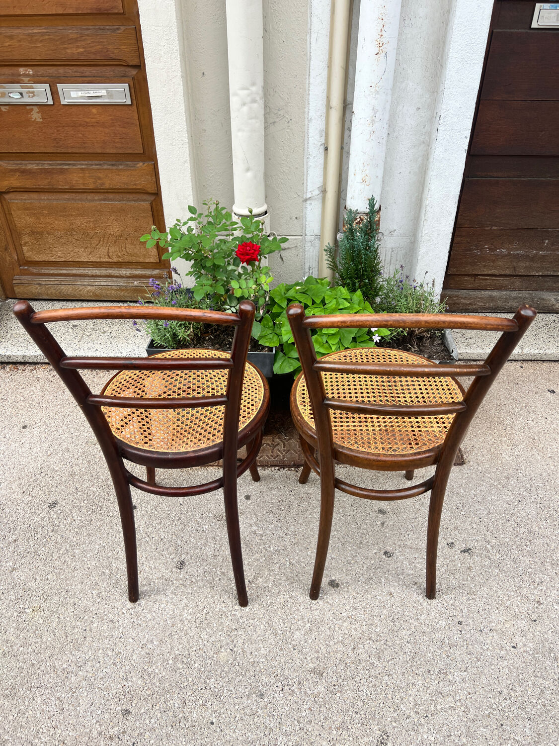 GEBRUDER THONET chairs model 17 late 19th century