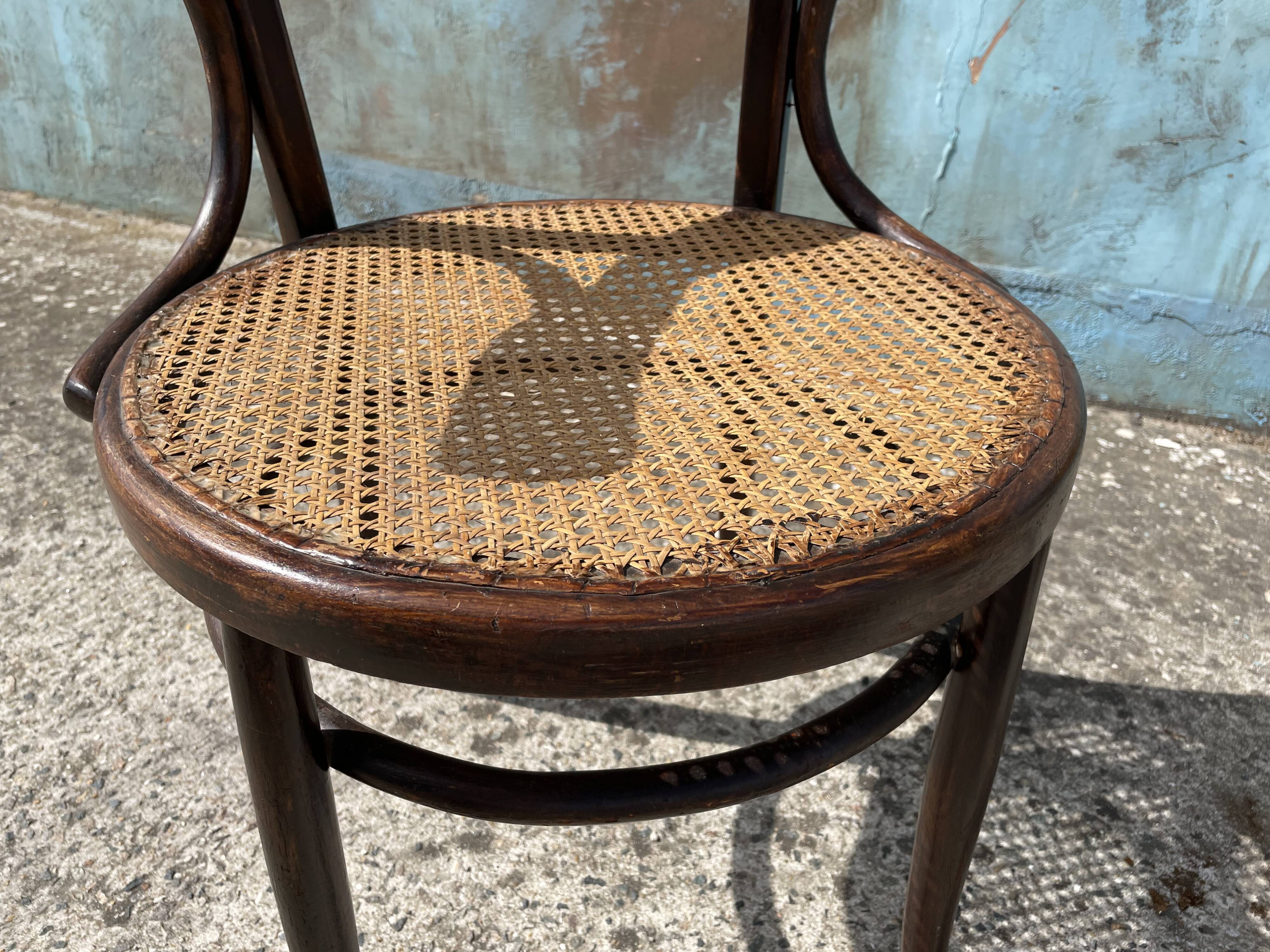 Canned office chair MUNDUS 1900