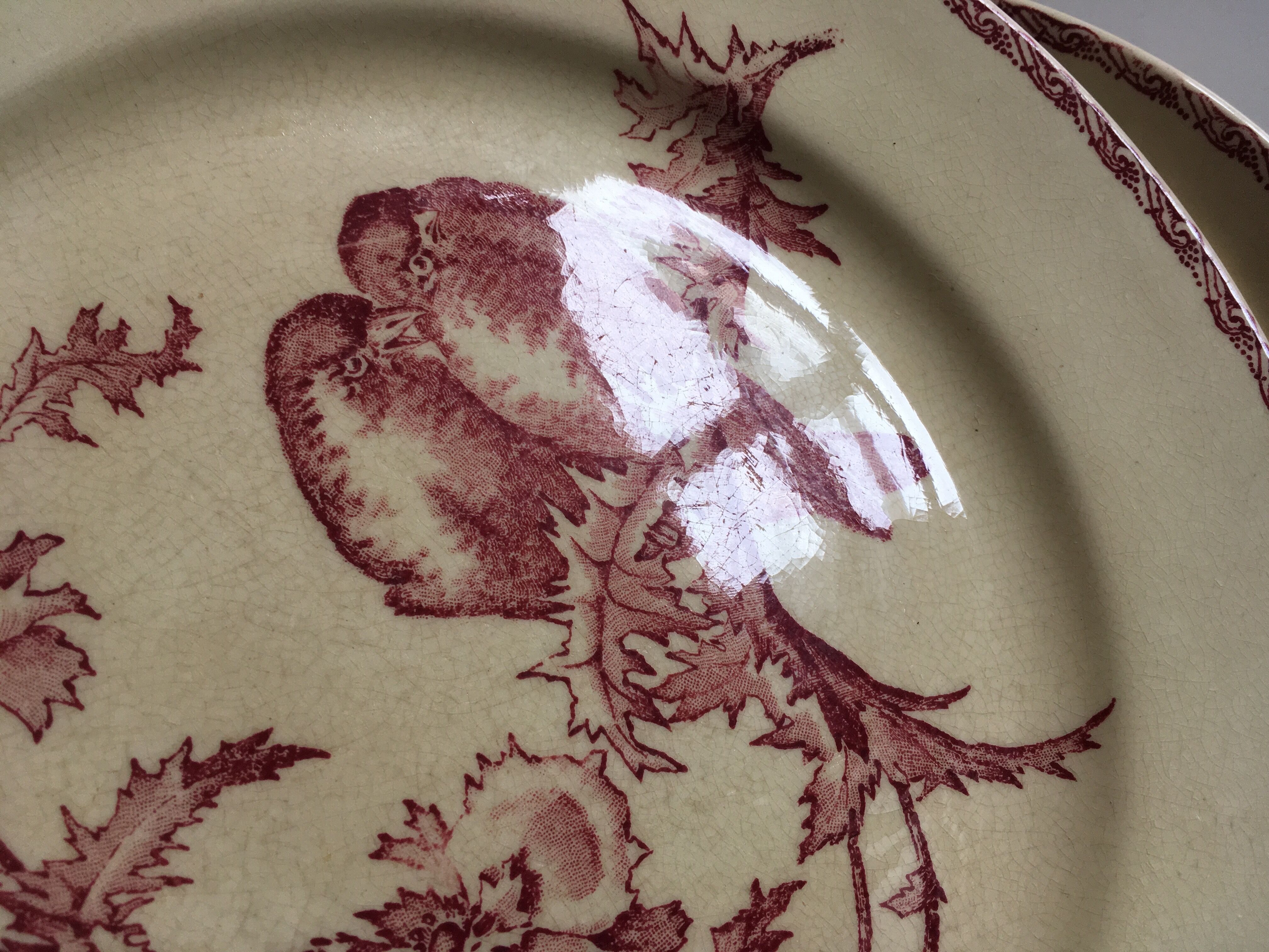 Set de 9 assiettes en faience 19e oiseaux Longwy
