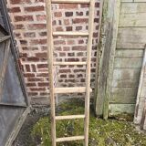 Old tree trunk ladder