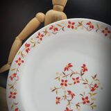 Set 6 flat plates Red and orange flowers