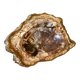 Petrified wood catchall