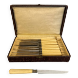 Service box of 11 knives with ivory handles and cast steel