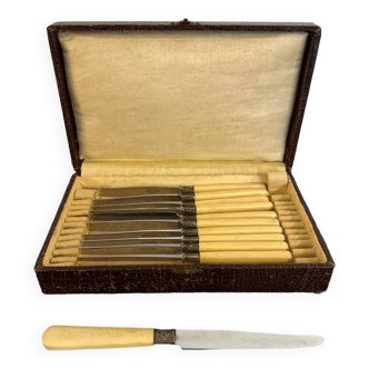 Service box of 11 knives with ivory handles and cast steel