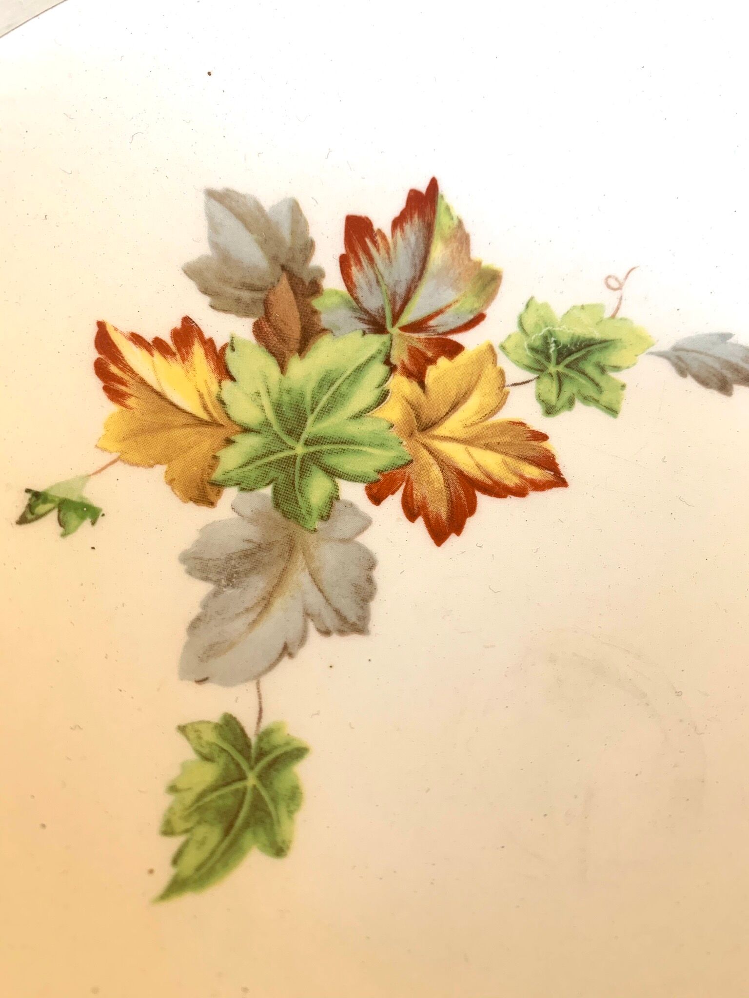 6 Gien hollow plates