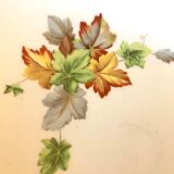 6 Gien hollow plates