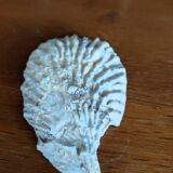 Fossile