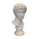 Bust of man with antique plaster