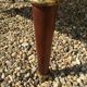 Mahogany Showcase - Bronze Golden Style Louis XVI