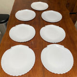 Shellfish plates
