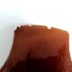 Empty pocket shell pottery sars