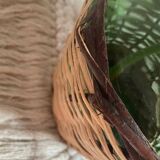 Wicker demijohn