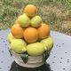 Vintage ceramic barbotine citrus fruit centrepiece