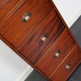 Dutch Industrial Mahogany Apothecary Cabinet, Mid-20th Century
