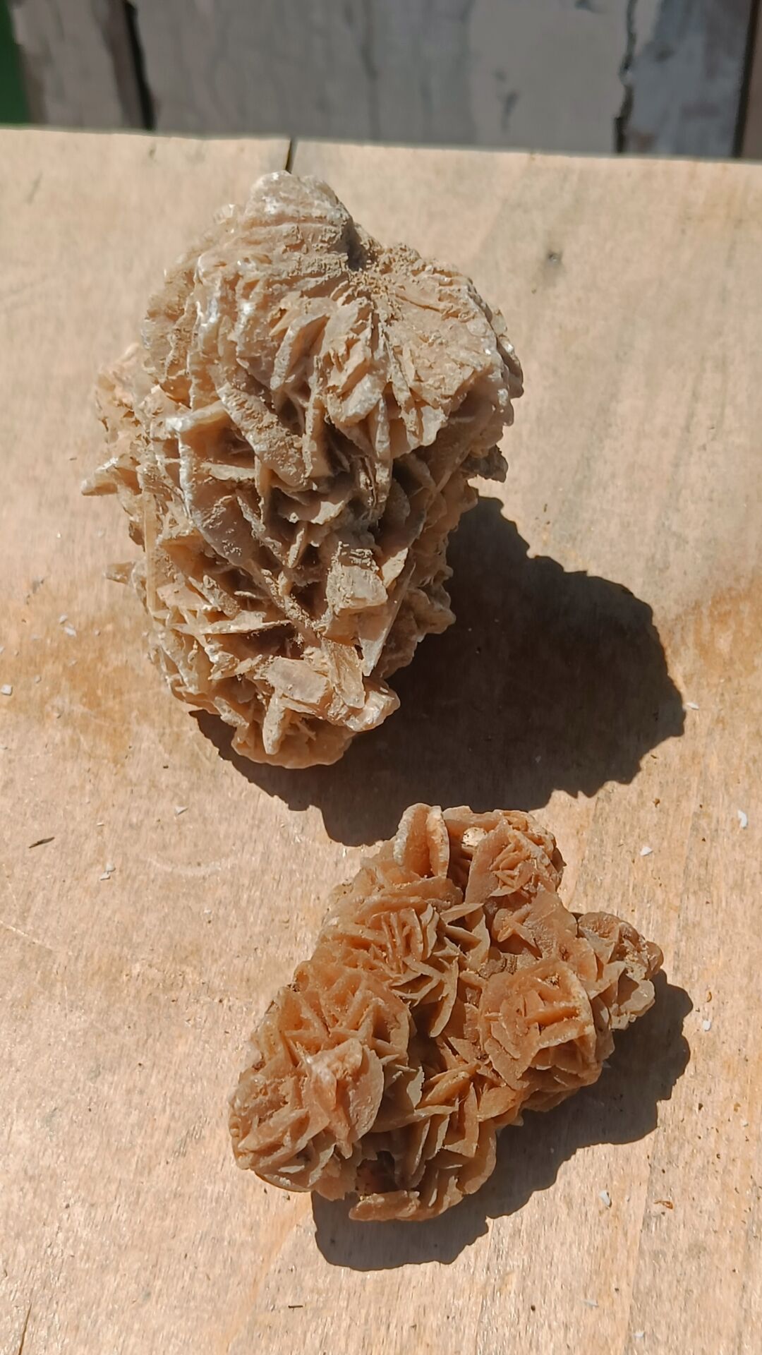 Roses des sables vintages