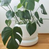 Planter by Luigi Colani