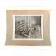 Photo originale du fauteuil Artek Pascoe / Suède - 1950
