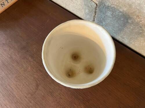Molar Vase by Roger Capron, Vallauris, 1950s-60s