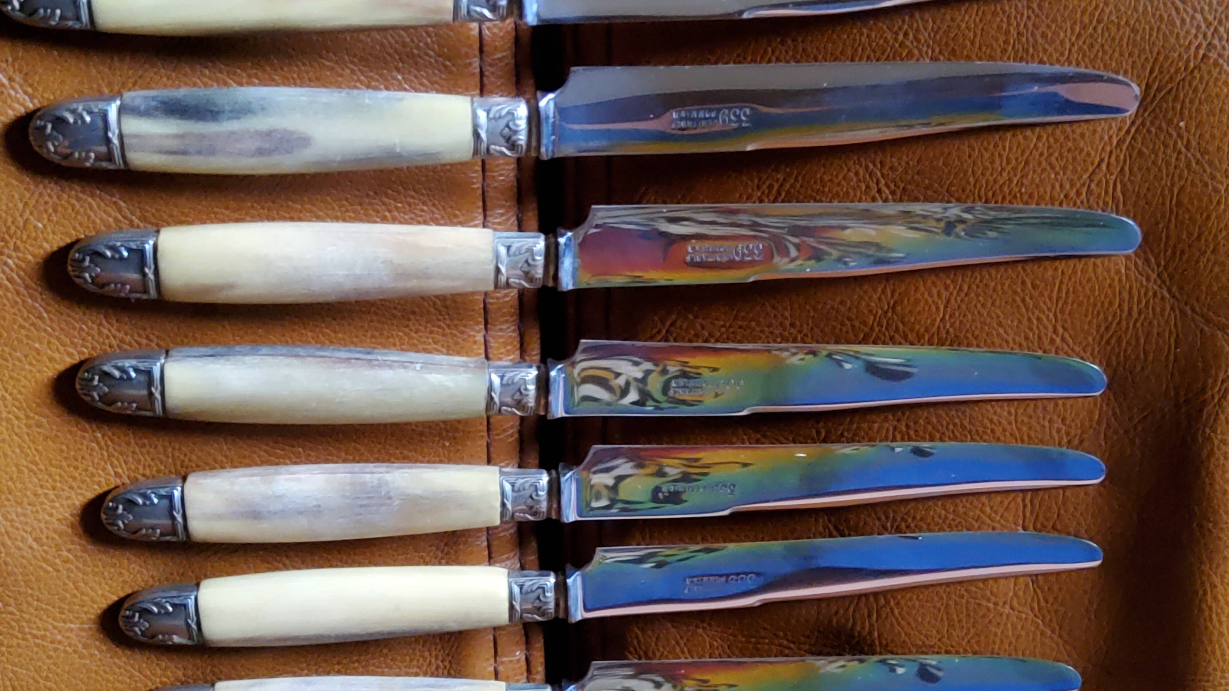 Box of 12 table knives goldsmith Apple handle horn and silver metal