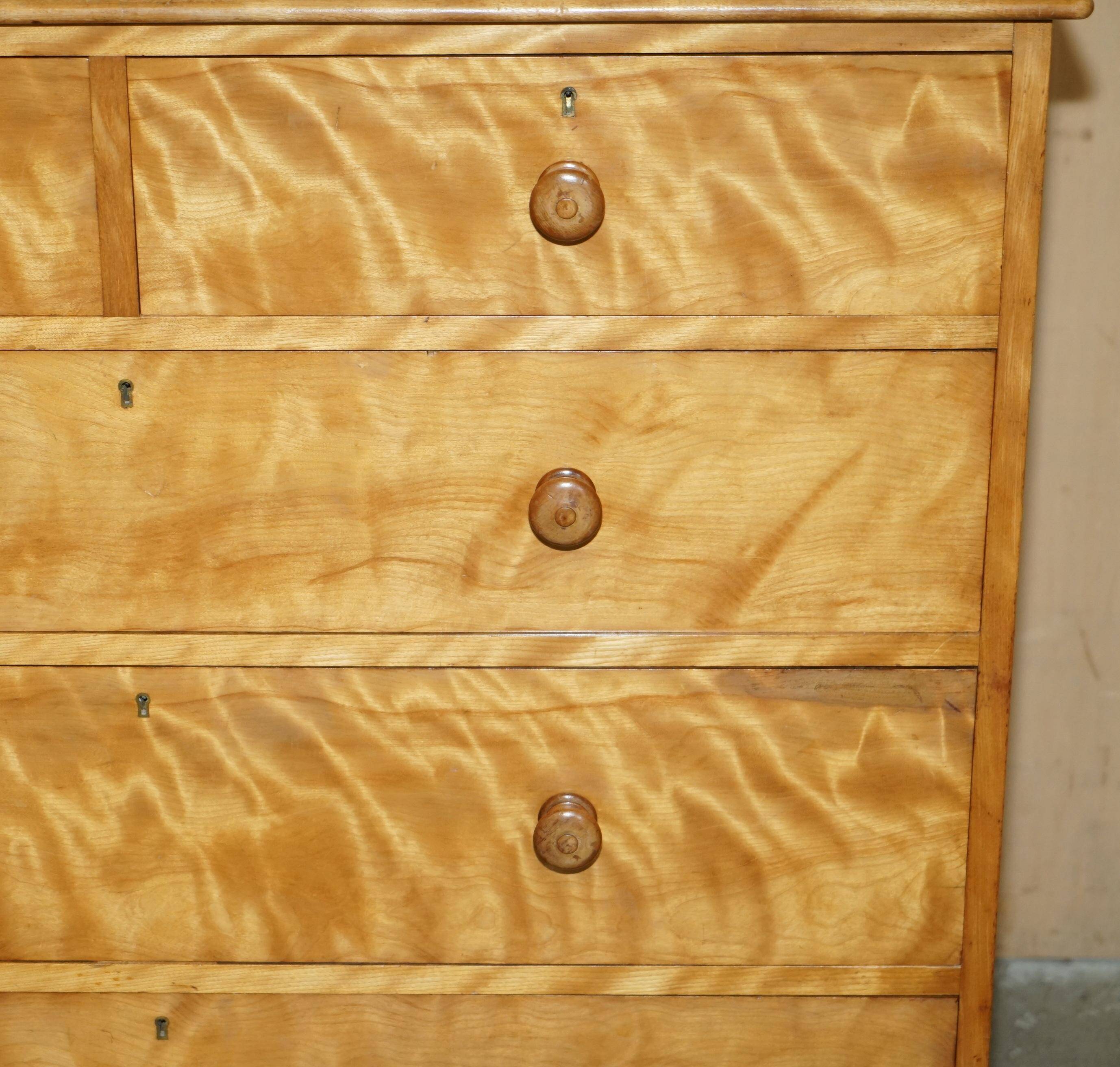 Victorian Commode in Satin Birch by Holland & Sons 1880