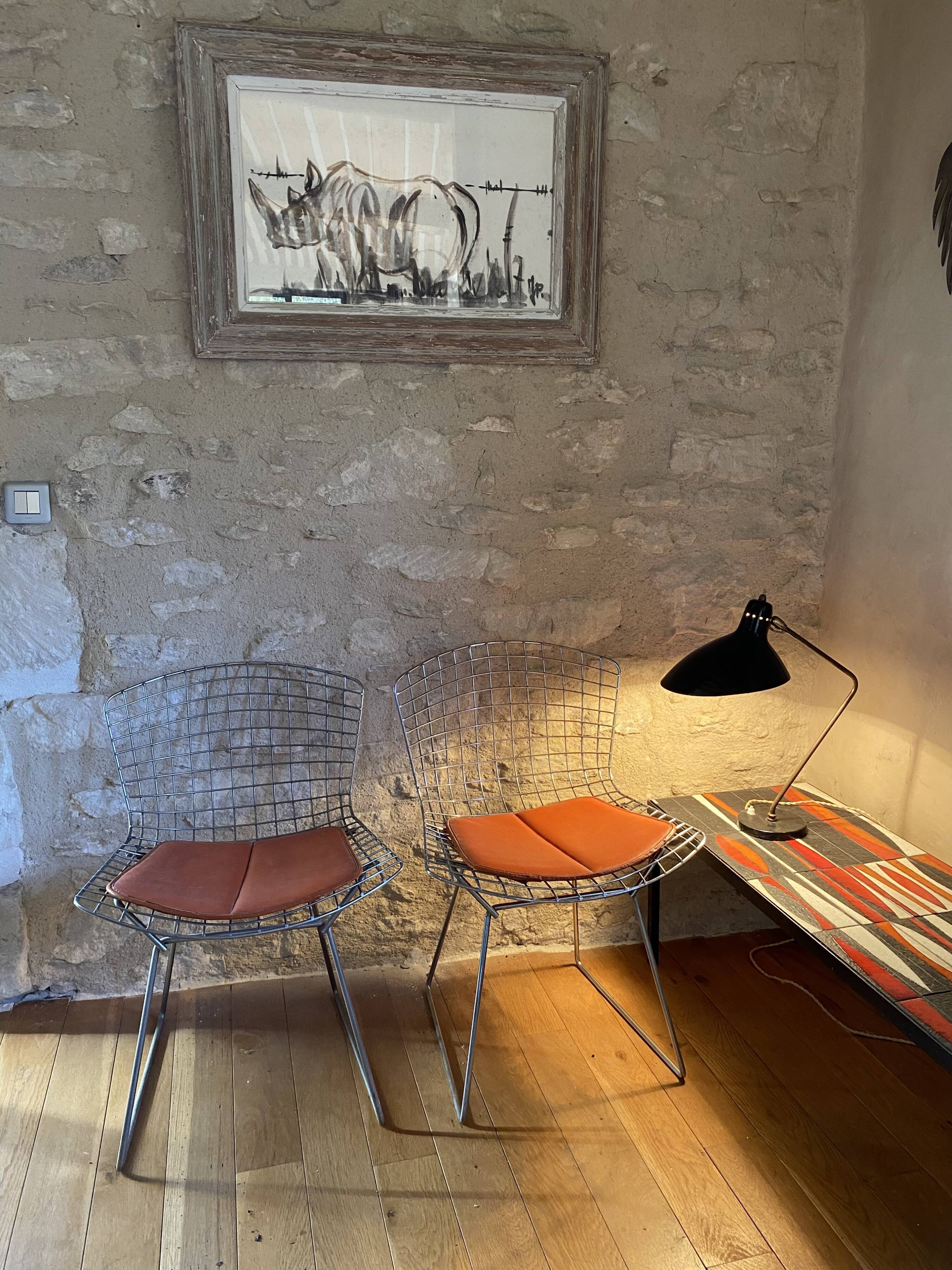 Chairs by Harry Bertoia 1960