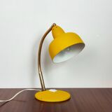 Articulated lamp 50/60'