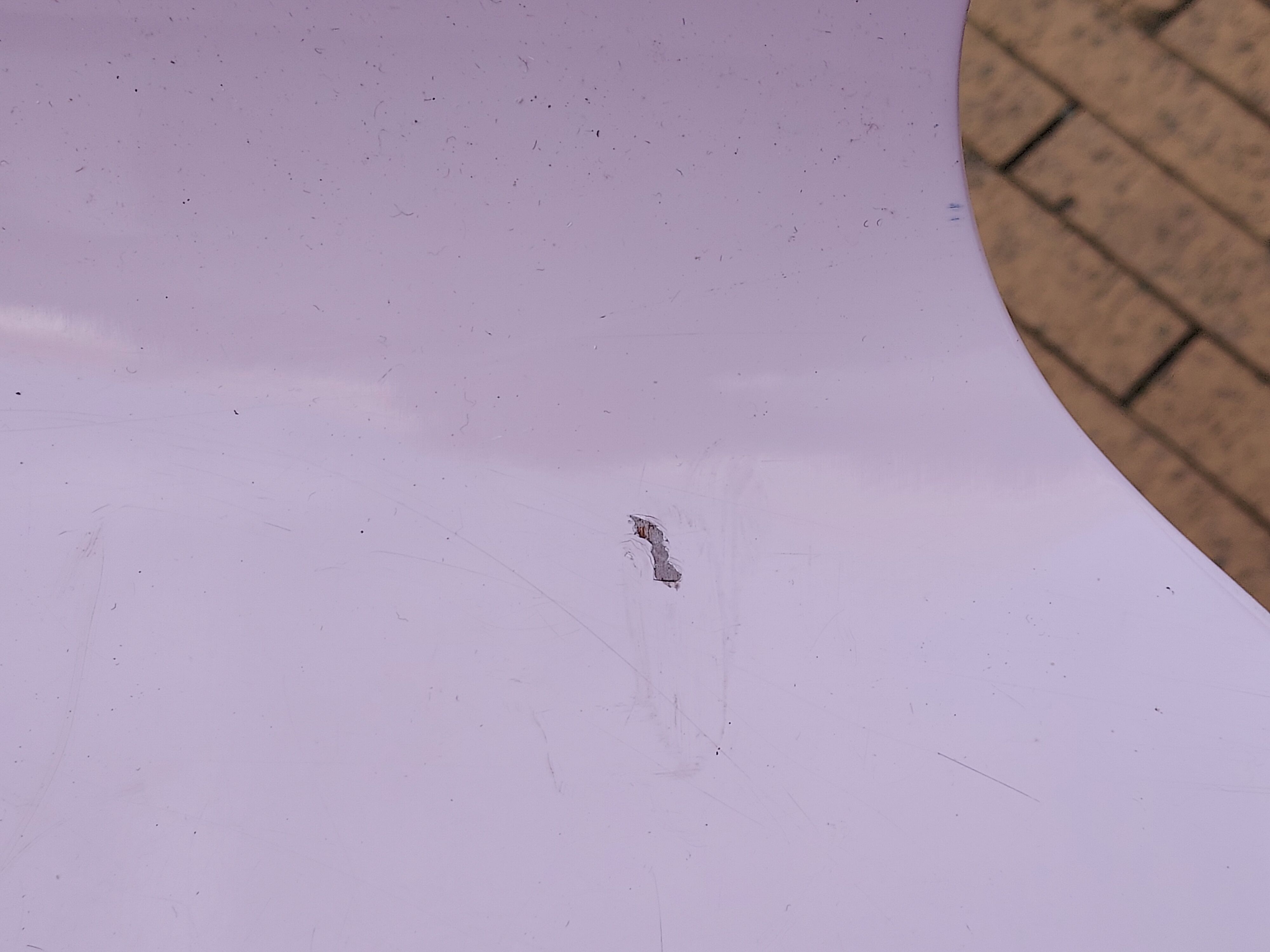 Chaise papillon série 7 d'Arne Jacobsen