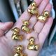 6 duck name holders