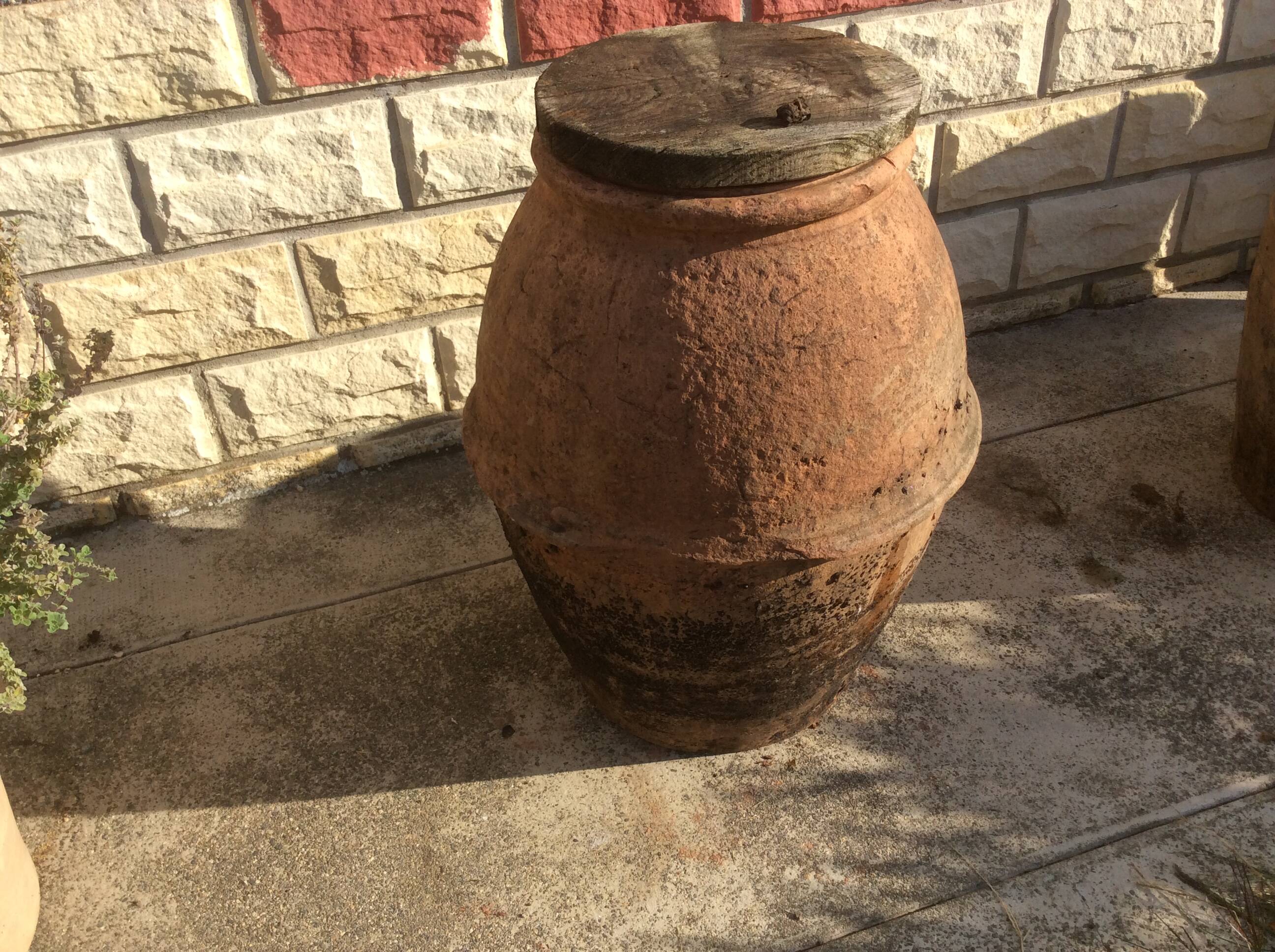 Ancient Orcio dà olio italiano