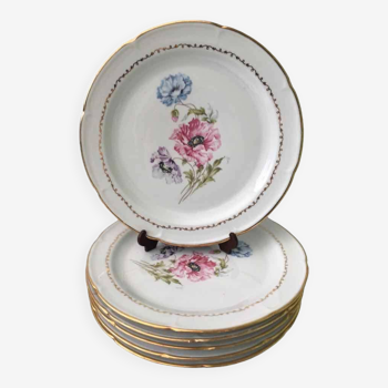 Set of 6 flowered porcelain dinner plates.