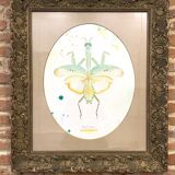 Large mantis frame