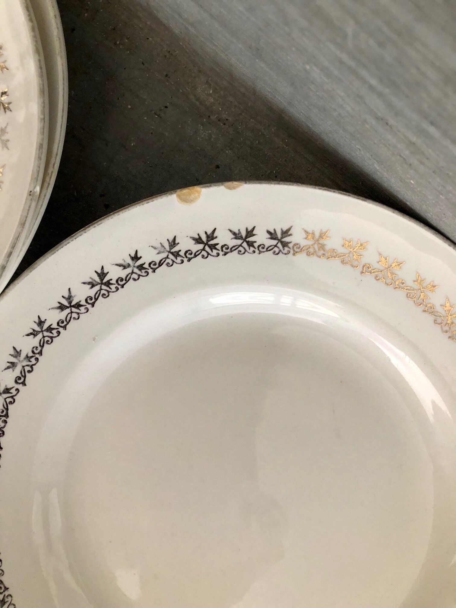 6 Digoin & Sarreguemines dessert plates