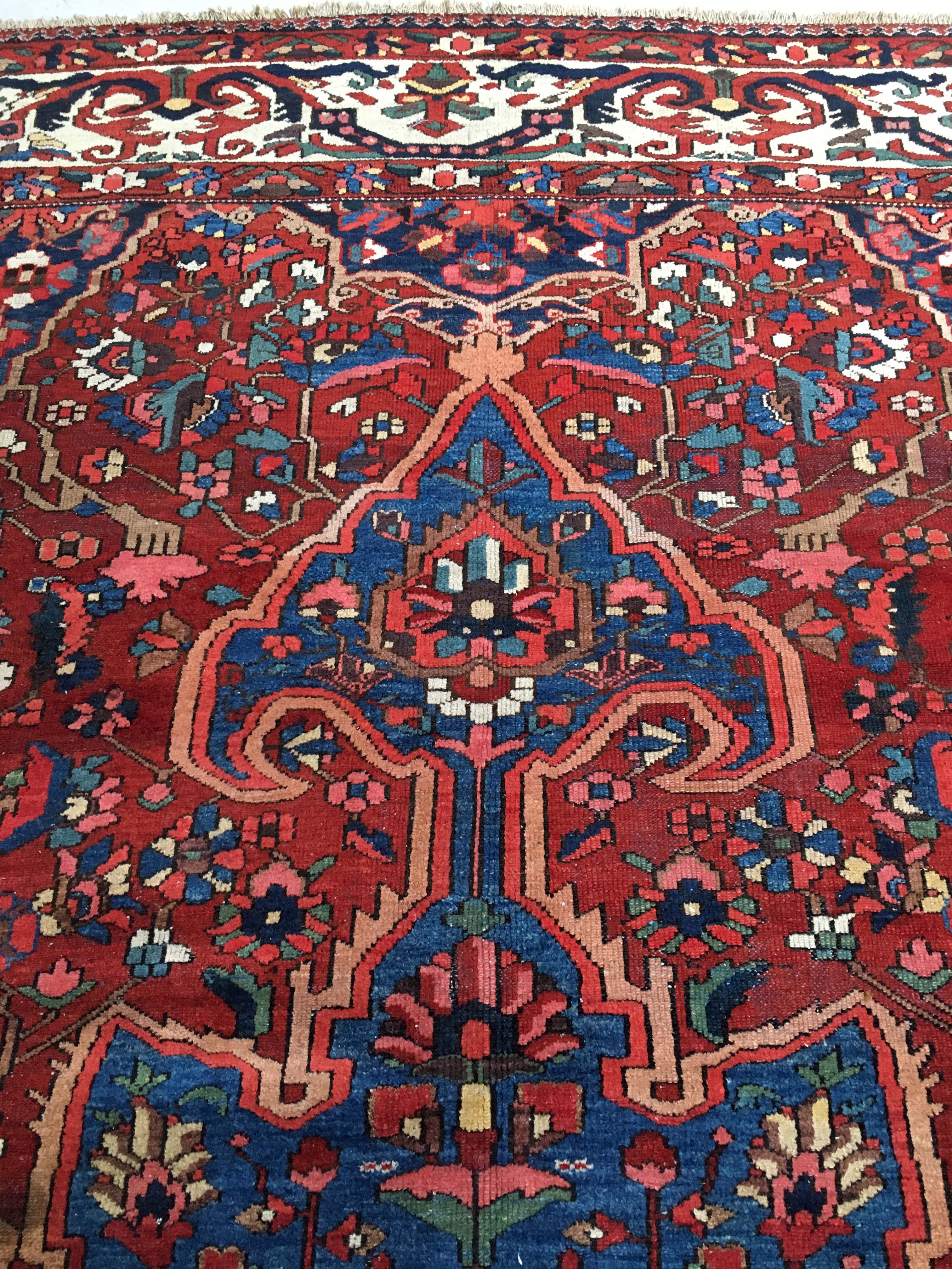 Oriental rug: former bakhtiari, 490 x 325