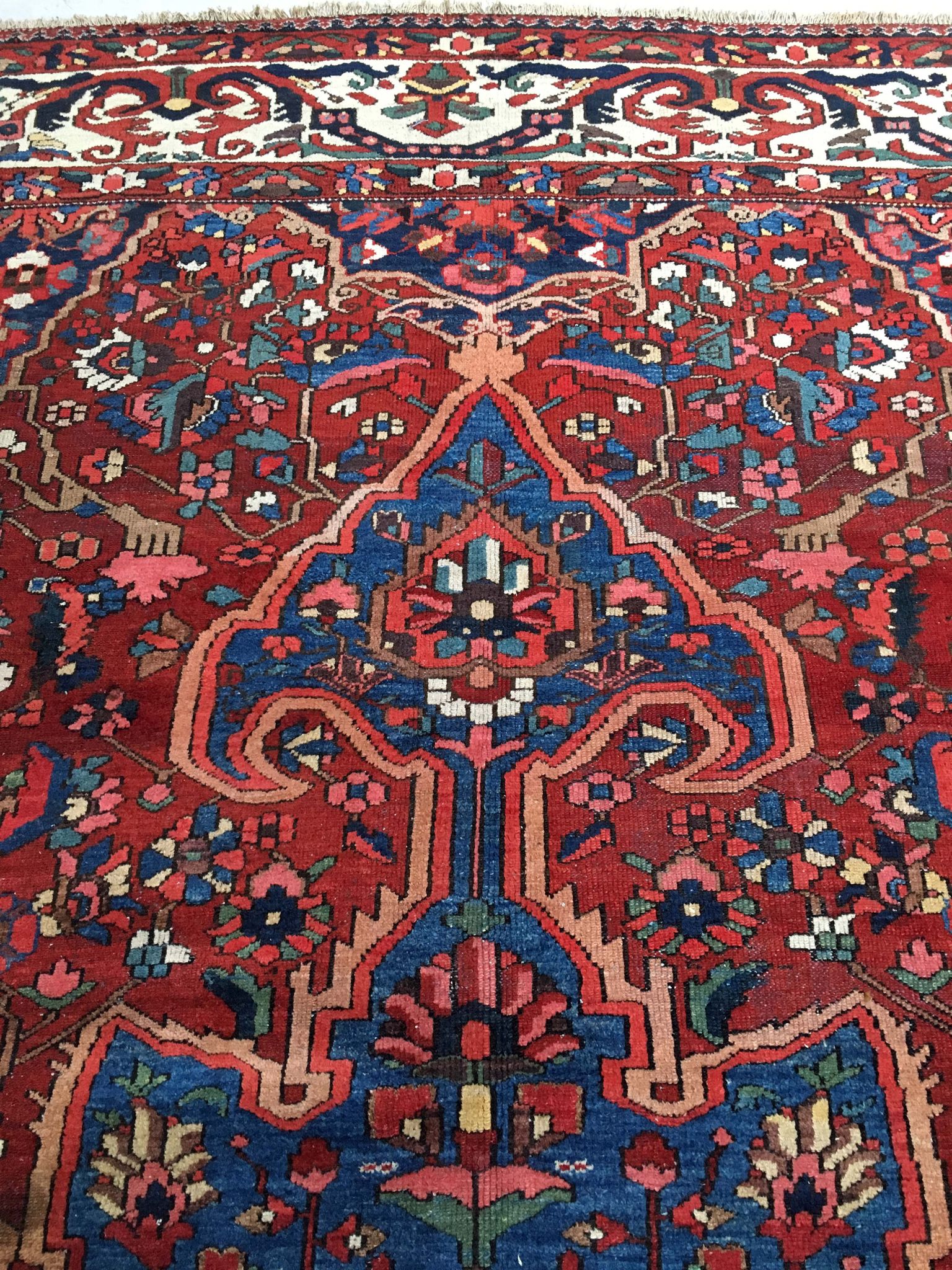 Oriental rug: former bakhtiari, 490 x 325