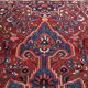 Oriental rug: former bakhtiari, 490 x 325