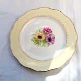 12 old flat plates Coopelia / The Almond