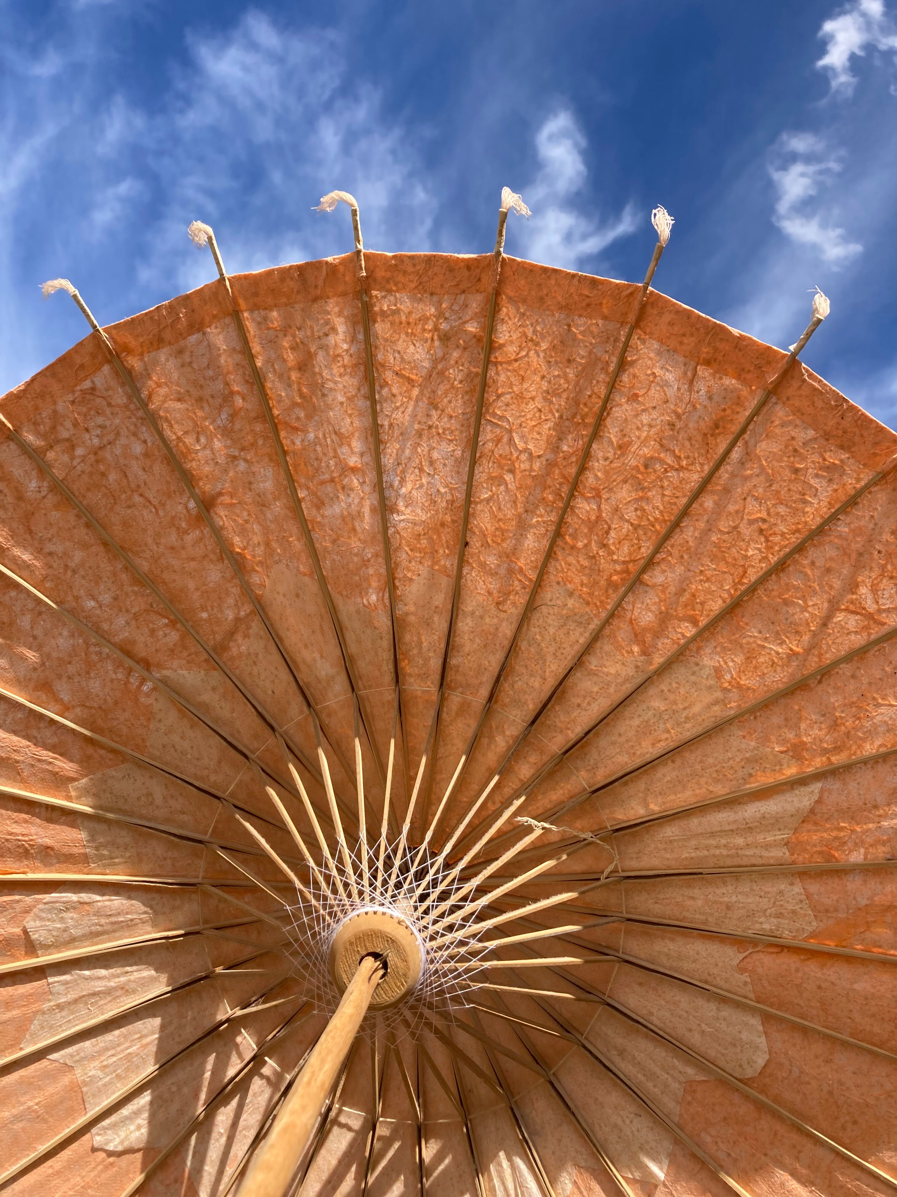Powder pink paper umbrella and wooden handle
