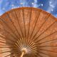 Powder pink paper umbrella and wooden handle