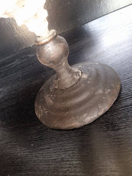 Cabinet of Curiosities 33cm Tutufa Bubo Shell on base