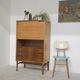 Secretary / Two-tone desk Frantisek Mezulanik for Up Zavody 1960