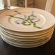 7 assiettes plates "Un Jardin en Plus"