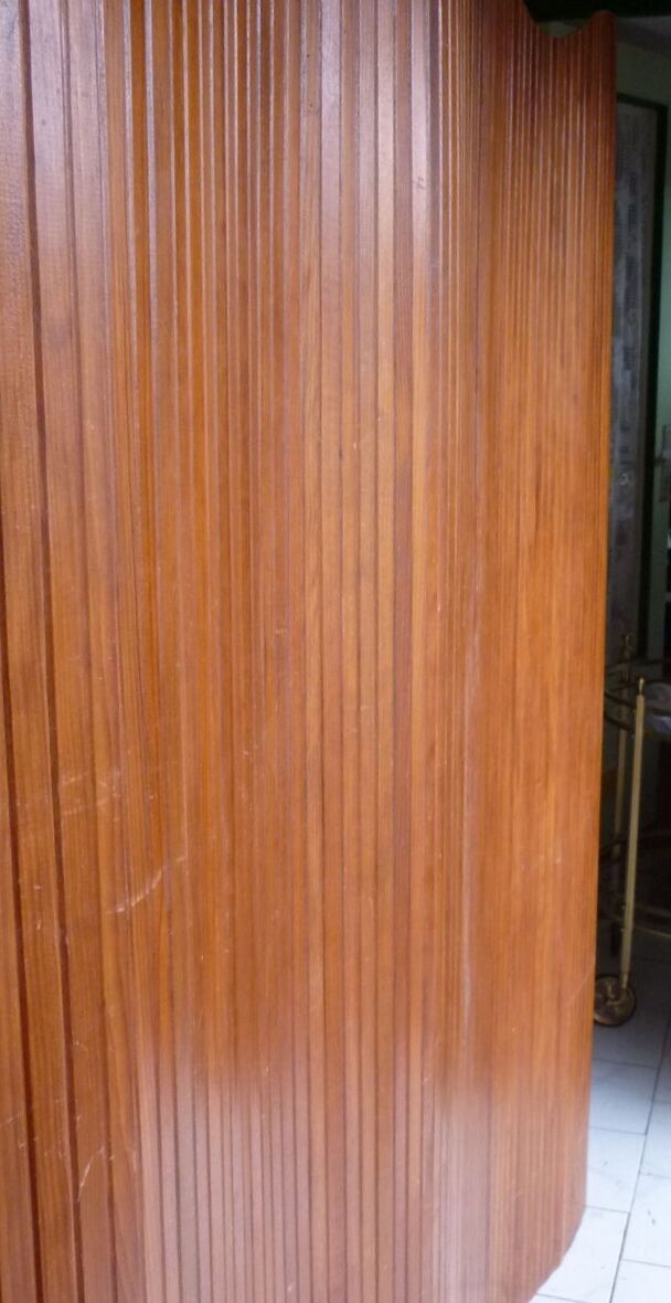 Baumann screen 250x180 cm