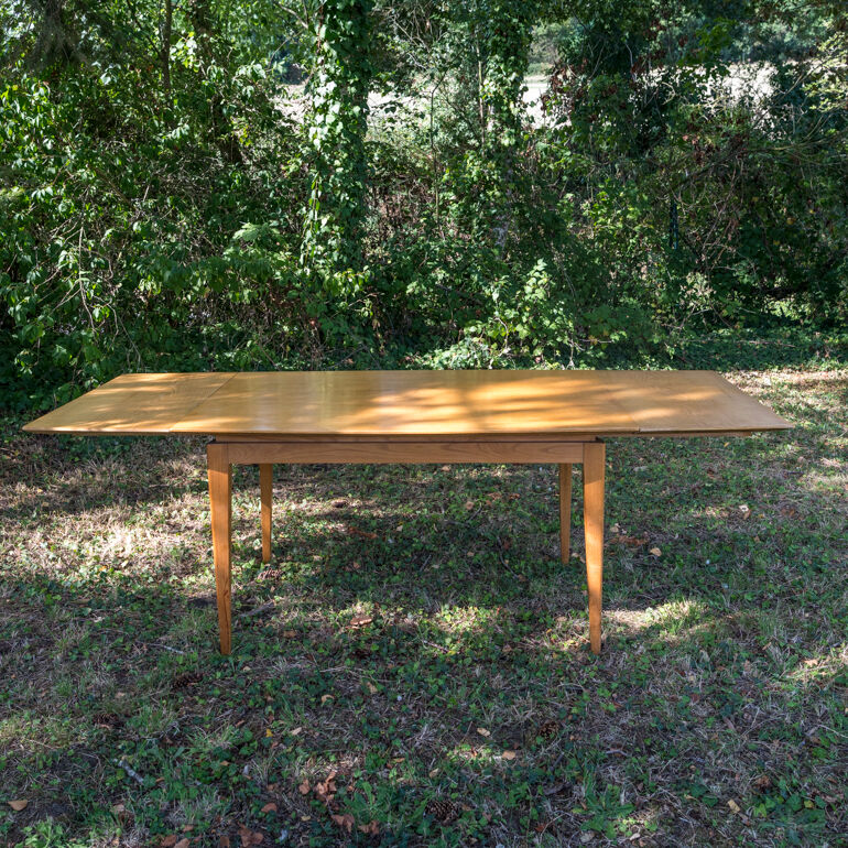 Table 2 extension leaves