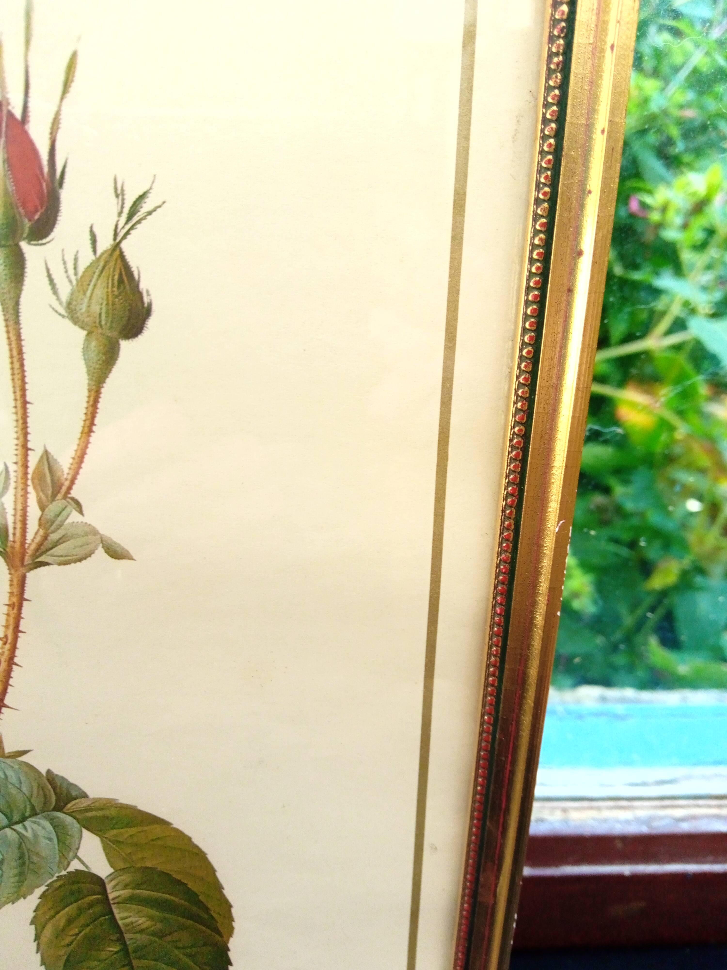 Redouté botanical board