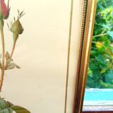 Redouté botanical board